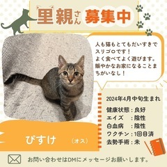 食べ盛り遊び盛りのキジくん