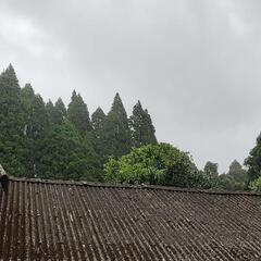 農業用トラクターお貸しください・お譲りください