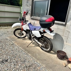 ジェベル250