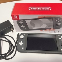 Nintendo  SwitchLight スイッチライト