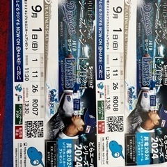 ドラゴンズ観戦チケット