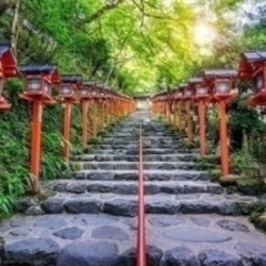 なごやで神社巡りしませんか？⛩️✨✨ − 愛知県