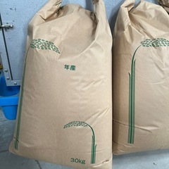 兵庫県のヒノヒカリの中古が安い!激安で譲ります・無料で 兵庫県のヒノヒカリの中古が安い!激安で譲ります・無料で