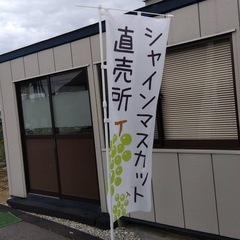 シャインマスカット直売所