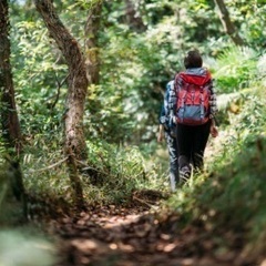 なごやで登山しませんか？⛰️✨✨ - その他