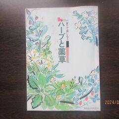 ハーブと薬草