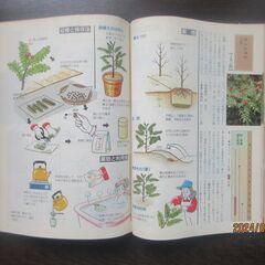 ハーブと薬草の画像
