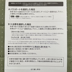 【9月末迄】ナガシマスパーランド パスポート券2枚の画像