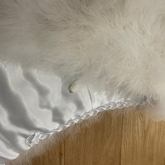 成人式用ファーの画像