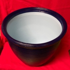 🐸🐝②陶器製 大型睡蓮鉢 メダカ 水草セット❣️睡蓮育成最適水深...