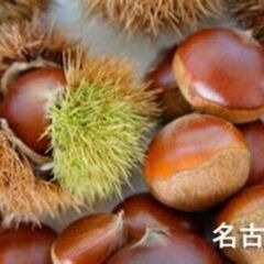 秋が旬！甘栗みそ作り講座