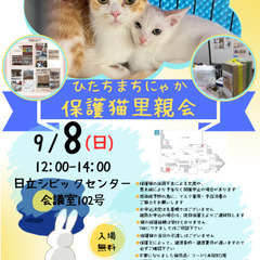 ひたちまちにゃか保護猫里親会(2024/09)