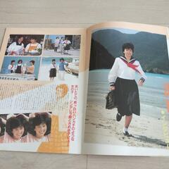 映画パンフレット刑事物語3 の画像
