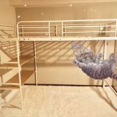 【引き渡し予定者が決まりました】コンセント・棚付きロフトベッド
