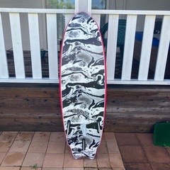 catch surf ROUND NOSE FISHの画像