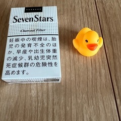 ヒヨコソフビ（50個）の画像