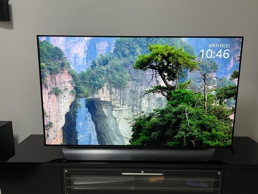 ストア 専用 武内知子様＿市田柿 3L特大200g 6パック＋900g