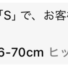 【新品】ポロシャツ　蝶々の画像