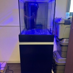 オーバーフロー水槽 オルカ 45cmキューブガラス水槽