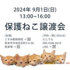 9/1保護猫譲渡会のお知らせ熊本市