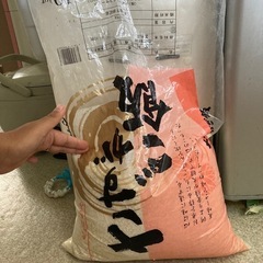 さすがご飯の画像