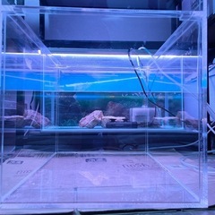 【お引取り完了】🐠中古🐠アクリル水槽🐠40cm🐠No.②