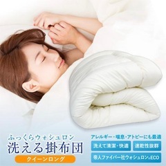 クイーンサイズ 洗える掛け布団の画像