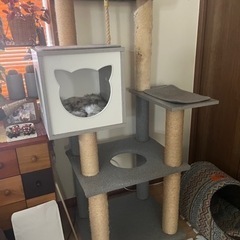 キャットタワーあげます