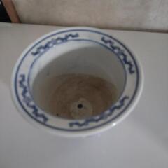 美品  TAROGA  はち①の画像