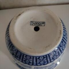 美品  TAROGA はち中の画像
