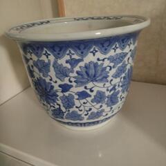 美品  TAROGA  はち 大