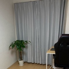 ニトリカーテン レースカーテン付き 遮熱 採光