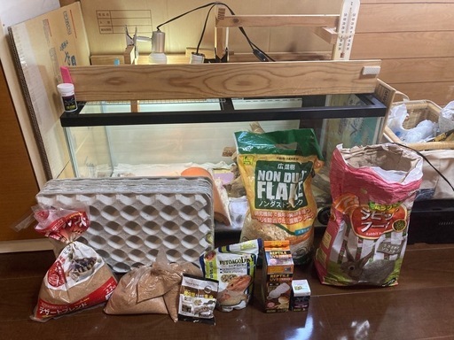 トカゲ飼育セット