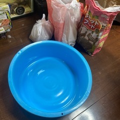 トカゲ飼育セットの画像