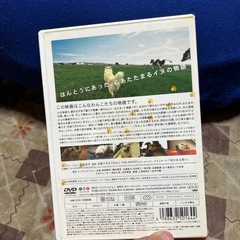 わんこ THE MOVIEの画像