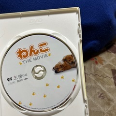 わんこ THE MOVIEの画像