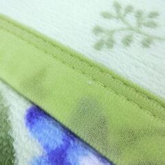 【新品未使用】VALENTINO ☆軽量・保温・耐久☆ マイヤーファーミクロファイバー毛布 シングル 150×210cm グリーン系の画像