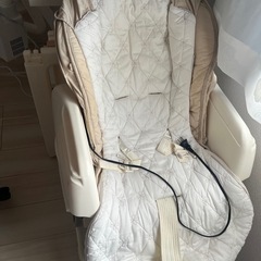 フェアレットの中古が安い！激安で譲ります・無料であげます