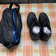 ミズノ MIZUNO T-ZOID ティーゾイド ゴルフシューズ の画像