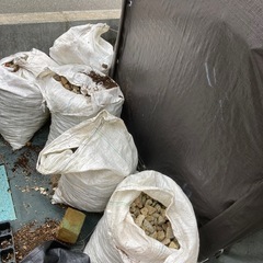 庭の石　小さめの画像