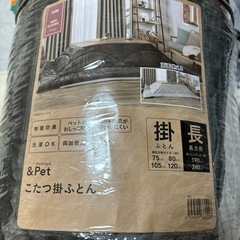 こたつふとん　掛け布団　　　カインズの画像