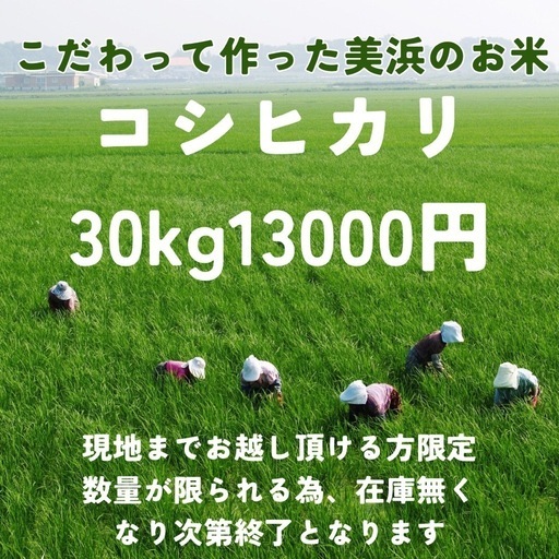 新米コシヒカリ