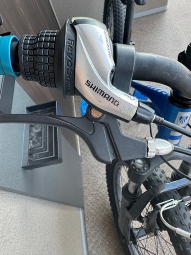 TREKトレック子供用自転車20インチ