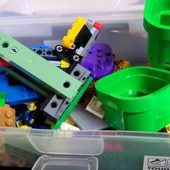 【引越し処分品】【値下げ】LEGO:　レゴマリオ＆レゴルイージの画像