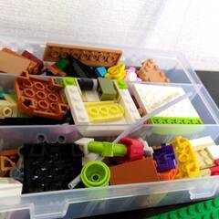 【引越し処分品】【値下げ】LEGO:　レゴマリオ＆レゴルイージの画像