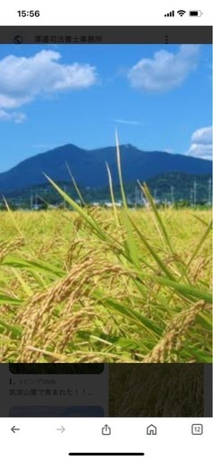 令和6年度北条米　３０キロ