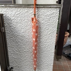 イブサンローラン　長傘の画像