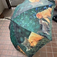 犬とネコの長傘