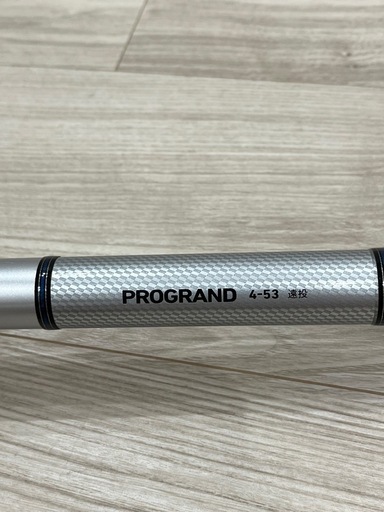 DAIWA PROGRAND 4-53 遠投