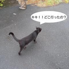 新郷東武公園で歩く貝(会)